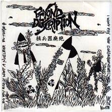 Beyond Description : Beyond Description Kontrovers